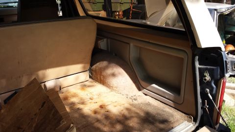 1984 Ford Bronco - The cargo area of the vehicle shows signs of wear and tear, with a dirty floor and some loose wood planks.