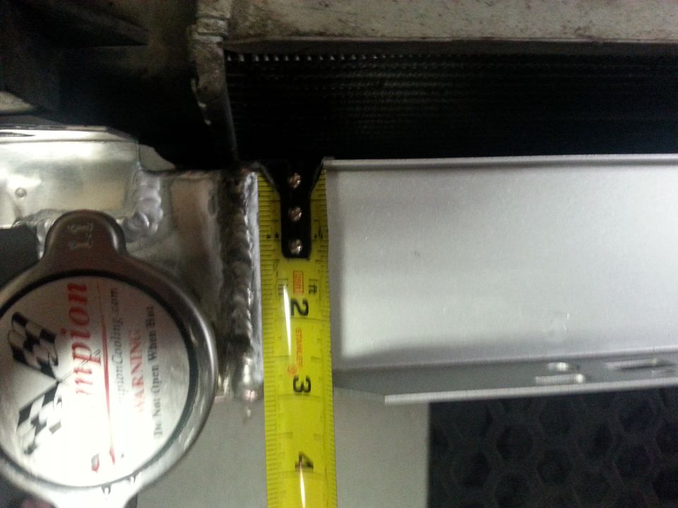 the champion is nearly 3 inches wide