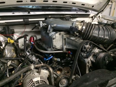 1996 Ford Bronco - Custom supercharger installation in an engine bay, polished components and a drive belt.