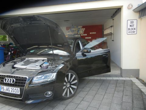 2010 Audi A4 - The license plate on this Audi clearly shows the year 2010.