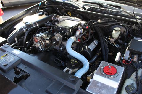 2003 Ford Crown Victoria - supercharged engine bay features a blue coolant hose and an aluminum box with a red battery cutoff switch.