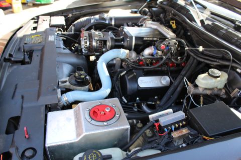 2003 Ford Crown Victoria - engine with a Kenne Bell supercharger shows a blue coolant hose and an aluminum box with a red switch.