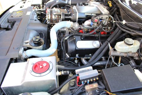 2003 Ford Crown Victoria - supercharged engine bay shows a blue coolant hose, a red-topped battery switch box and a fluid reservoir.