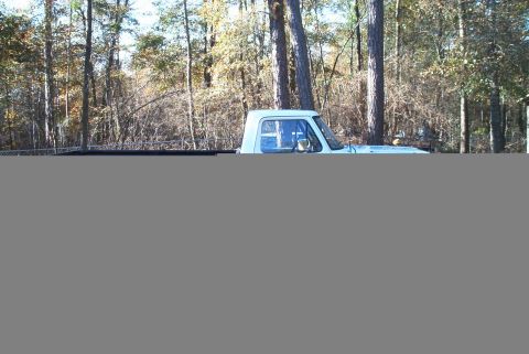 1992 Ford Bronco - Side view of a white pickup truck cab against a backdrop of trees.