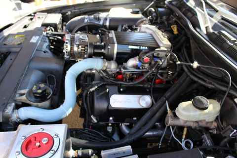 2003 Ford Crown Victoria - Wide engine bay view of a Kenne Bell supercharged motor with Trick Flow valve cover, blue silicone hose and twin fluid reservoirs.