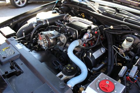 2003 Ford Crown Victoria - Wide engine bay view of a supercharged motor with chrome alternator, blue silicone hose and a red battery disconnect knob.