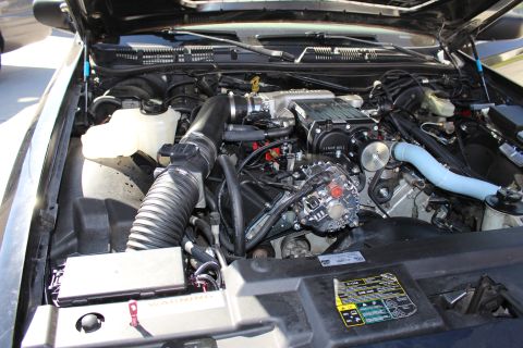 2003 Ford Crown Victoria - Engine bay view showing the front serpentine belt drive feeding a supercharger, with fluid reservoir and underhood emissions label.
