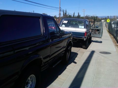 1986 Ford Bronco - Two Ford Broncos are parked on the side of the road under a clear blue sky. One is black, the other is blue and white.