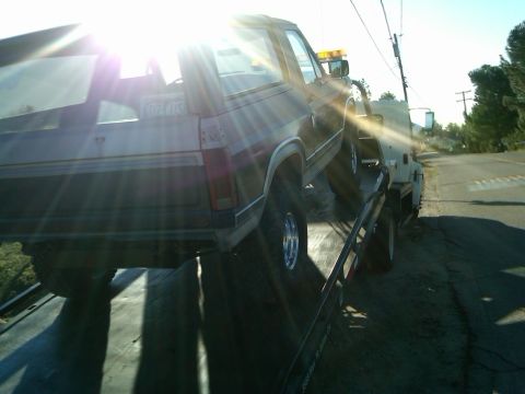 1986 Ford Bronco - A 1986 Ford Bronco is loaded onto a tow truck, its rear end facing the camera.