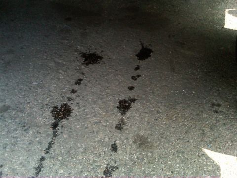 1986 Ford Bronco - Oil stains on asphalt indicate a potential leak from a vehicle.