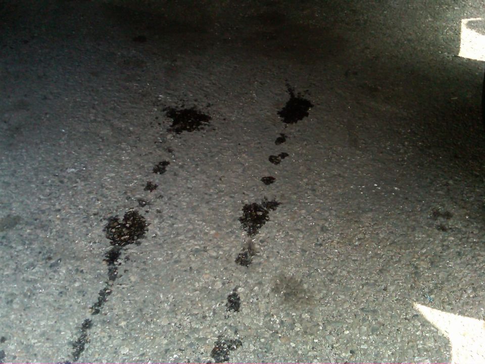 Oil stains on asphalt, with a portion of a white vehicle visible on the right