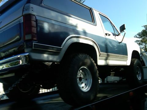 1986 Ford Bronco - This 1986 Ford Bronco is shown from a low angle, highlighting its large tires and two-tone paint scheme.