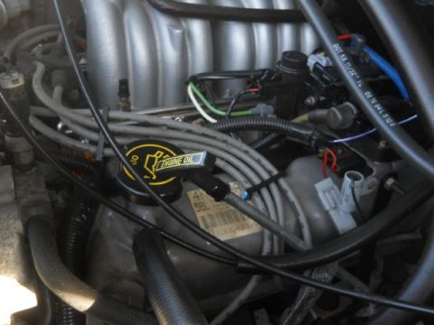 1994 Ford Bronco - Close-up view of an engine bay, focusing on the oil cap and surrounding components.