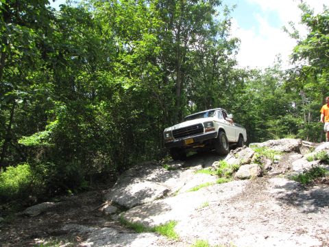 1979 Ford Bronco - A white pickup truck navigates a rocky trail surrounded by trees.