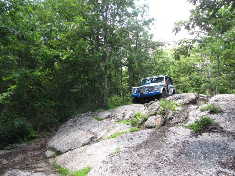 1979 Ford Bronco - Off-road vehicle navigating challenging rocky terrain surrounded by trees.