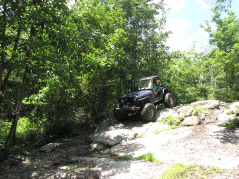 1979 Ford Bronco - Jeep Wrangler navigating a rocky off-road course surrounded by trees.