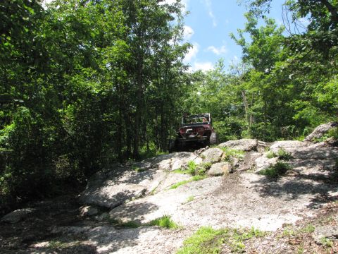 1979 Ford Bronco - A red Jeep navigates a challenging rocky path through a dense forest on a sunny day.