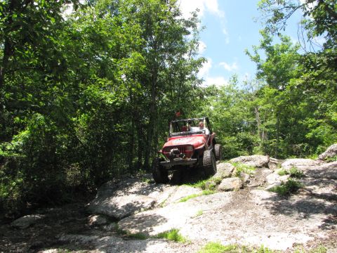 1979 Ford Bronco - A red Jeep navigates a rocky path through a dense forest on a sunny day.
