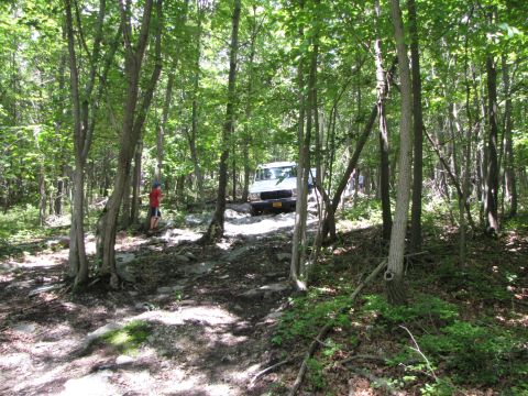 1979 Ford Bronco - A white van is seen driving through a dense forest on a rocky path.