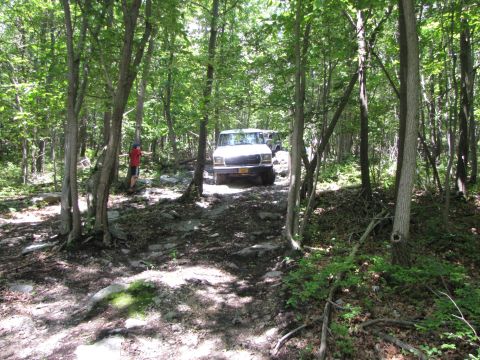 1979 Ford Bronco - Two SUVs drive through a dense forest on a rocky, off-road path.