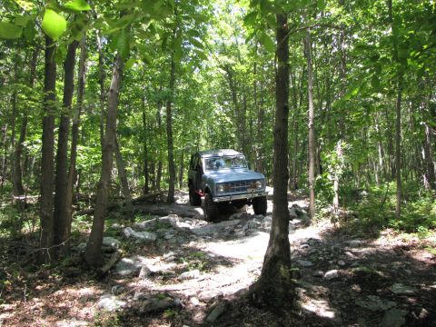 1979 Ford Bronco - A gray 1979 Ford Bronco navigates a challenging rocky path through a dense forest.
