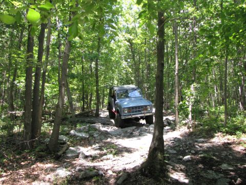 1979 Ford Bronco - Ford Bronco navigates a challenging, rocky trail surrounded by dense trees.