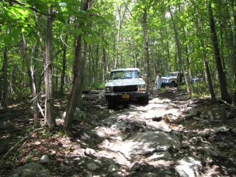 1979 Ford Bronco - A white Ford Bronco navigates a challenging rocky path through a dense forest, with another vehicle following closely.
