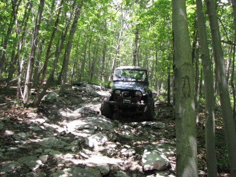 1979 Ford Bronco - A Jeep Wrangler navigates a challenging rocky path through a dense forest.