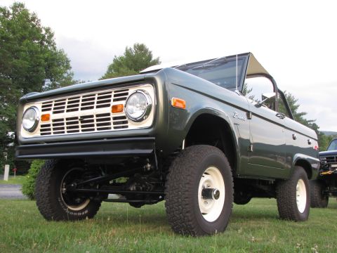 1979 Ford Bronco - This 1978 Ford Bronco features a distinctive white grille and white wheels, set against a grassy backdrop with trees.