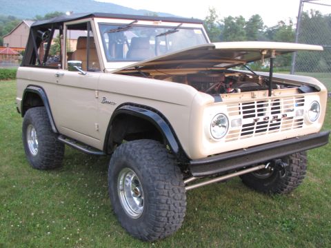 1979 Ford Bronco - This 1979 Ford Bronco is shown with its hood open, revealing the engine bay.