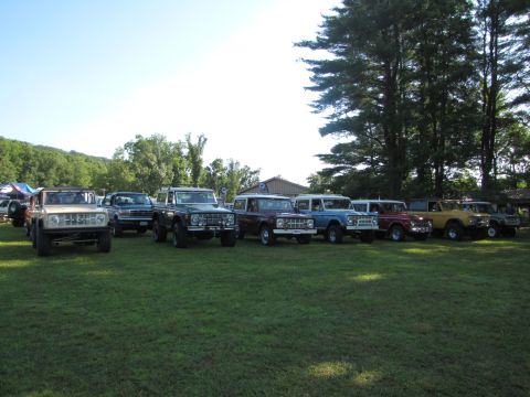 1979 Ford Bronco - Several Ford Broncos are lined up on a grassy field under a clear blue sky.