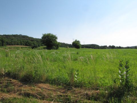 1979 Ford Bronco - A dark SUV is visible in a vast, green field under a clear blue sky.