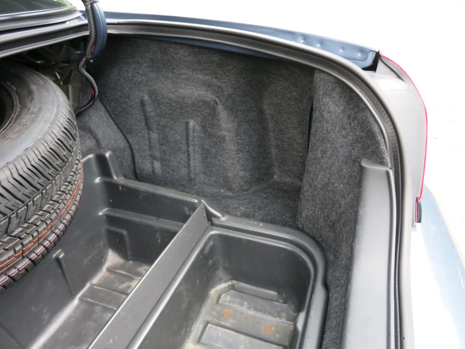 Trunk interior with spare tire and plastic organizer