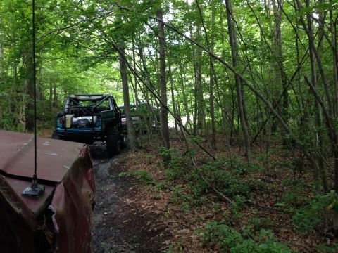 1988 Ford Bronco - Off-road vehicles navigate a narrow, muddy path surrounded by thick trees and foliage.