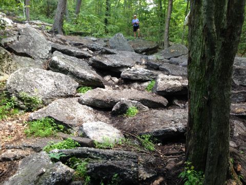 1988 Ford Bronco - A person stands on a rocky path in a wooded area.