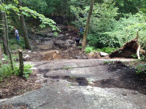 1988 Ford Bronco - A group of people navigate a challenging off-road trail with a large fallen tree visible on the side.