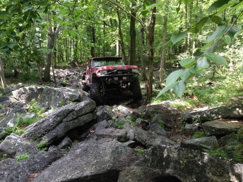 1988 Ford Bronco - This 1988 Ford Bronco is tackling a challenging rocky path in a wooded area.