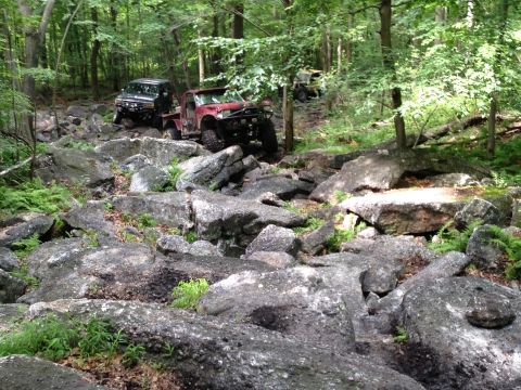 1988 Ford Bronco - Off-road vehicles tackle a challenging rocky path through a dense forest.