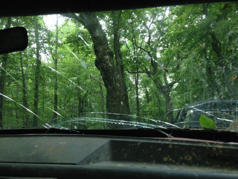1988 Ford Bronco - Looking out through a damaged windshield at a dense forest scene.