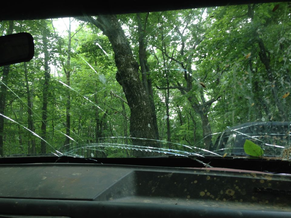 View through a cracked windshield of a forest with trees and foliage. A dark vehicle is partially visible to the right