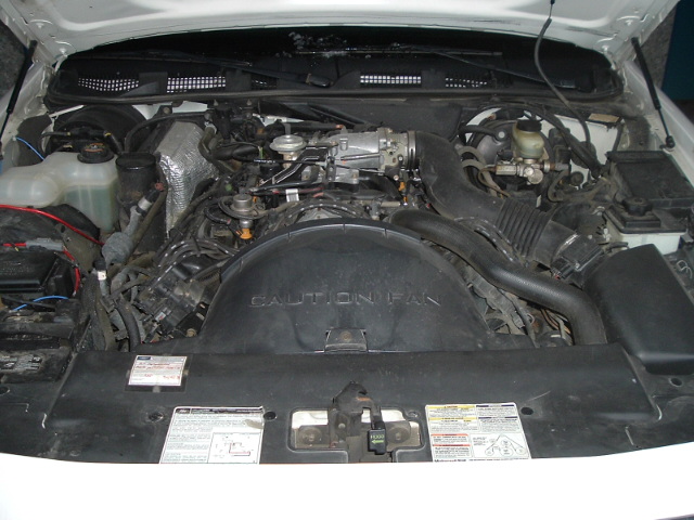 Engine bay with V8 engine, air intake, and various hoses and fluids visible. Labels on the fan shroud and under the hood