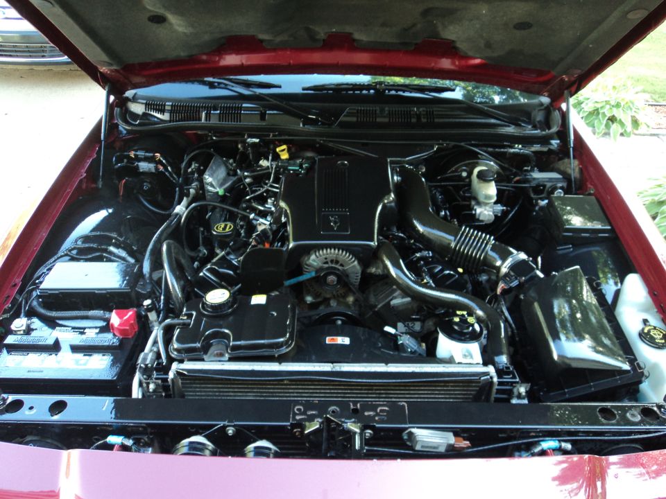 Red 2004 Mercury Grand Marquis engine bay with a clean engine and open hood