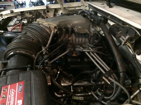 1996 Ford Bronco - Close-up of a Ford 5.4L Lightning engine, showing the supercharger and intake system.