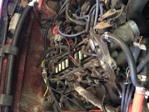 1989 Ford Bronco - Engine compartment detail with fuel injection system components visible.