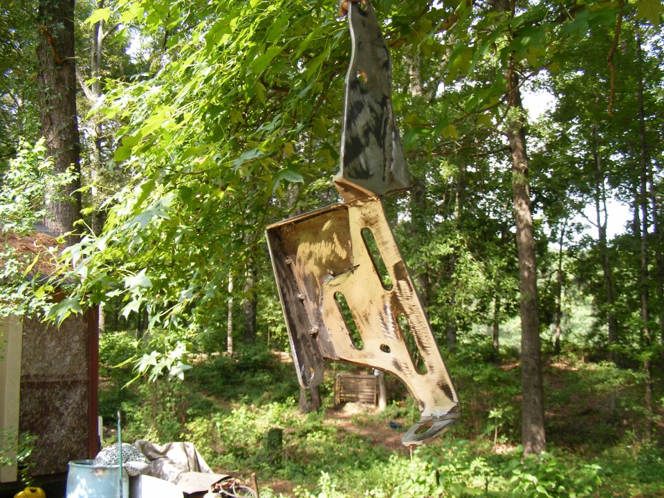 Car fender part hanging from tree branch, showing yellowed interior and green foliage