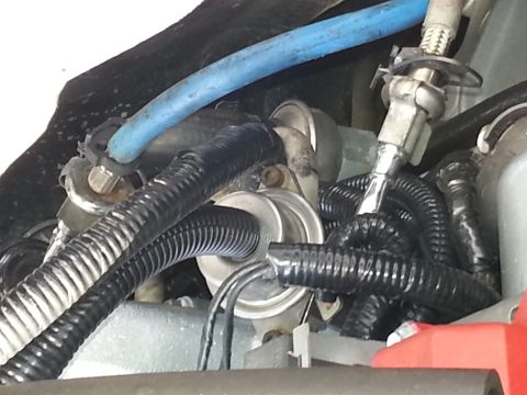 1994 Ford Bronco - Close-up view of engine bay components, including hoses and wiring harnesses.