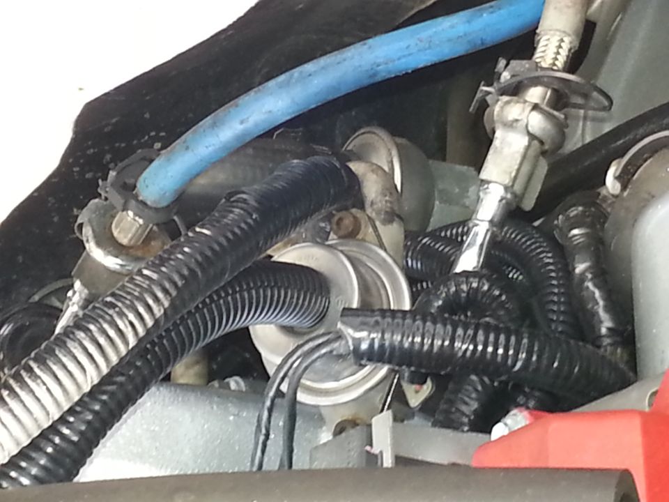 Engine bay with blue hose, black wiring looms, and metal components. Supermotors logo visible