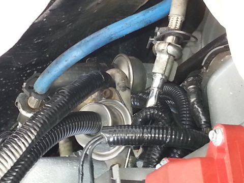 1994 Ford Bronco - Close-up view of engine components, including a blue hose and various wires and connectors.