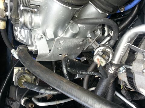 1994 Ford Bronco - A detailed view of various engine components, including hoses and electrical connections.