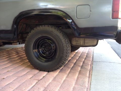1982 Ford Bronco - Rear view of a 1982 Ford Bronco showing the wheel well and tire.